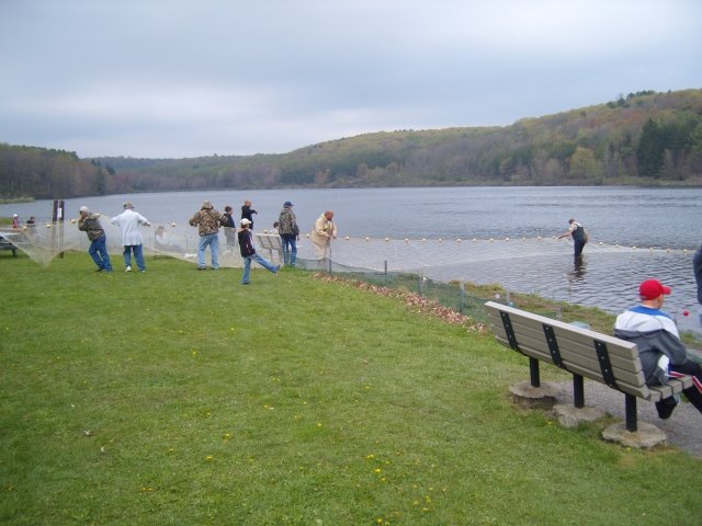kidsfishday297.jpg