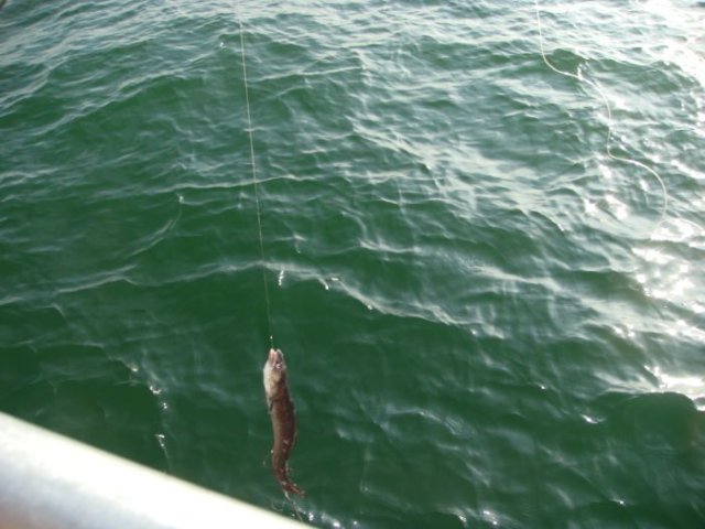 photo29.jpg
