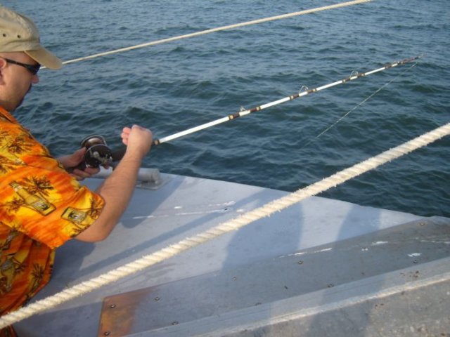 photo37.jpg