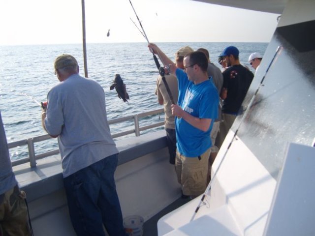photo41.jpg