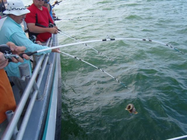 photo42.jpg